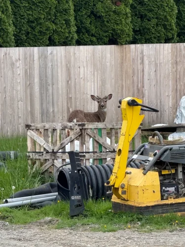 Excavating Contractor Lynden Wa 40