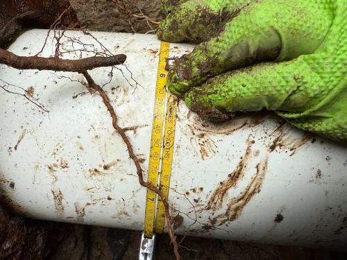 excavating-contractor-bellingham-wa-016