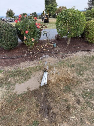 excavating-contractor-lynden-wa-158