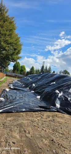 excavating-contractor-lynden-wa-179