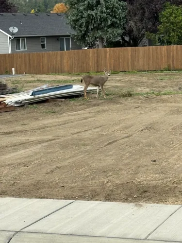 excavating-contractor-lynden-wa-190