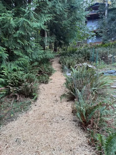 excavating-contractor-lynden-wa-203